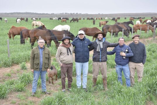 Una apuesta millonaria transforma el sur de San Luis con uno de los mayores centros de genética equina del país