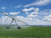 El Plan Maestro de Energía propone una década de nuevas oportunidades para el agro puntano