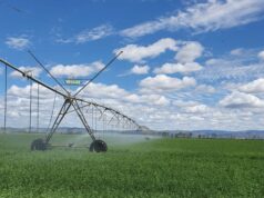 El Plan Maestro de Energía propone una década de nuevas oportunidades para el agro puntano