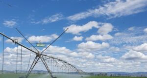 El Plan Maestro de Energía propone una década de nuevas oportunidades para el agro puntano