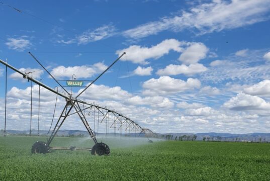 El Plan Maestro de Energía propone una década de nuevas oportunidades para el agro puntano