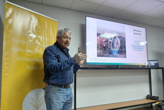 El desafío de producir más kilos de carne y hacer rentable cada decisión