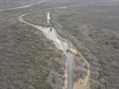Comenzaron las obras de reencauzamiento del río Conlara en Lafinur