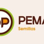 baner_peman