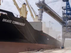 Los granos resisten la baja internacional: en Chicago soja y maíz cayeron 5%, pero el mercado argentino se sostuvo