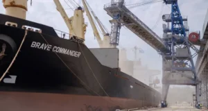 Los granos resisten la baja internacional: en Chicago soja y maíz cayeron 5%, pero el mercado argentino se sostuvo