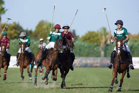 El polo impulsa nuevas oportunidades de exportación