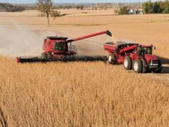 El campo vuelve a apostar: el 64% cree que es un buen momento para invertir, aunque la confianza cae 2,7%