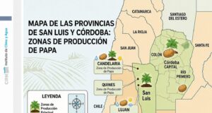 Córdoba y San Luis: la superficie cultivada con papa creció 14,4% y alcanzó las 15.443 hectáreas