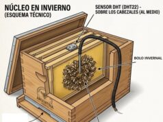 Operación Invierno: tecnología y apicultura para conocer cómo las abejas enfrentan el frío en San Luis