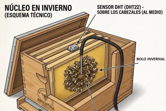 Operación Invierno: tecnología y apicultura para conocer cómo las abejas enfrentan el frío en San Luis