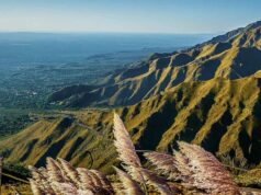 Tierras raras, minerales críticos y estratégicos: investigan el potencial geológico de San Luis