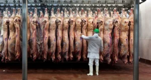 Carne vacuna: menor oferta regional y crecimiento de las exportaciones argentinas