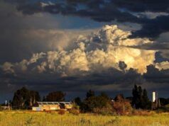El riesgo climático obliga al agro a repensar su estrategia de negocio