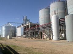 Salino advirtió que la nueva ley de biocombustibles podría dejar fuera del mercado a una empresa de San Luis
