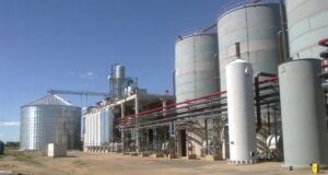 Salino advirtió que la nueva ley de biocombustibles podría dejar fuera del mercado a una empresa de San Luis