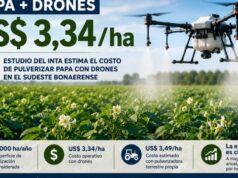Un estudio del INTA estima en US$ 3,34 por hectárea el costo de pulverizar papa con drones