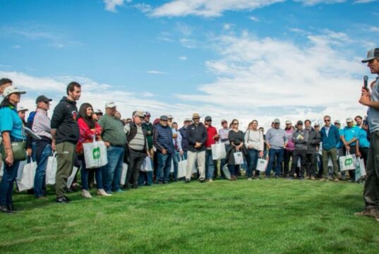 Mendoza será sede del 9° Encuentro Profesional de Césped