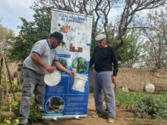 Continúa la liberación de machos estériles en el Plan de Erradicación de la Mosca de los Frutos