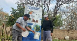 Continúa la liberación de machos estériles en el Plan de Erradicación de la Mosca de los Frutos