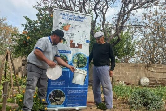 Continúa la liberación de machos estériles en el Plan de Erradicación de la Mosca de los Frutos