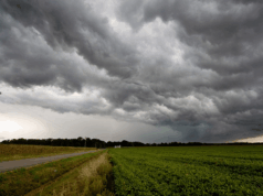 Una primavera con sello invernal: Cuyo tendría más lluvias y temperaturas por debajo de lo normal