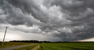 Una primavera con sello invernal: Cuyo tendría más lluvias y temperaturas por debajo de lo normal