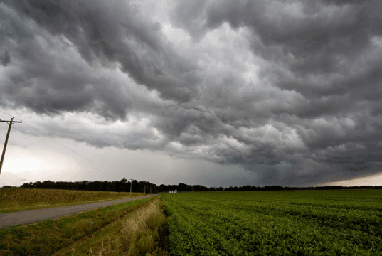 Una primavera con sello invernal: Cuyo tendría más lluvias y temperaturas por debajo de lo normal
