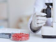Con irradiación gamma, reducen la presencia de Escherichia coli