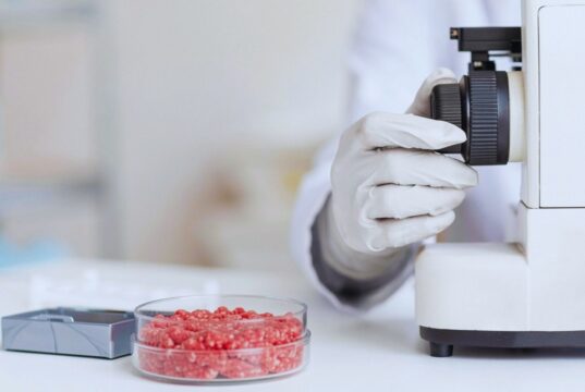 Con irradiación gamma, reducen la presencia de Escherichia coli