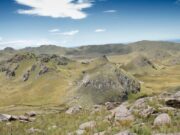Una guía de la UNSL revela la riqueza vegetal que conserva el cerro El Morro