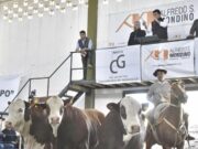 Compañía General de Hacienda lleva su Braford a remate en Buena Esperanza