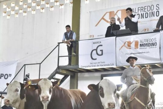Compañía General de Hacienda lleva su Braford a remate en Buena Esperanza