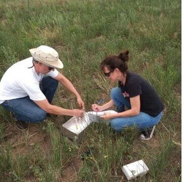 El desafío de producir sin aumentar la huella ambiental ya tiene respuestas en San Luis