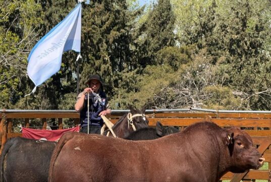 La Benedicta llevó su genética Angus a Río Cuarto: vendió 73 reproductores en un remate con valores firmes