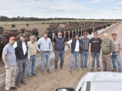 De Buena Esperanza a China: Tigonbu dio el salto al Wagyu y abrió una nueva etapa para la carne de San Luis