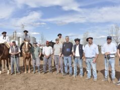 La Prueba Pastoril de Angus Centro coronó a sus mejores toros en San Luis y dejó genética probada para campos exigentes
