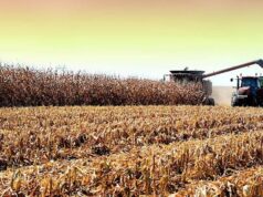 Informe de Rentabilidad 25/26: datos reales para medir, comparar y gestionar el negocio agropecuario