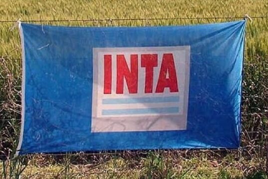 Motosierra en el INTA: el Gobierno proyecta un recorte millonario en el presupuesto para 2027 y retira una fuente de financiamiento