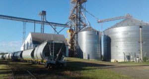 Del campo al puerto: el costo logístico que se lleva una parte del maíz de San Luis