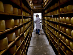 Récord de exportaciones lácteas para los primeros 7 meses del año con 1.835 millones de litros de leche