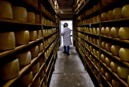 Récord de exportaciones lácteas para los primeros 7 meses del año con 1.835 millones de litros de leche
