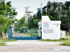 El INTA abre el concurso para elegir al nuevo director regional de La Pampa-San Luis