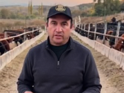 De 350 mil vacas inseminadas a un feedlot en expansión: la apuesta de Huguenine por una ganadería más eficiente