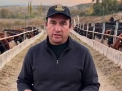 De 350 mil vacas inseminadas a un feedlot en expansión: la apuesta de Huguenine por una ganadería más eficiente