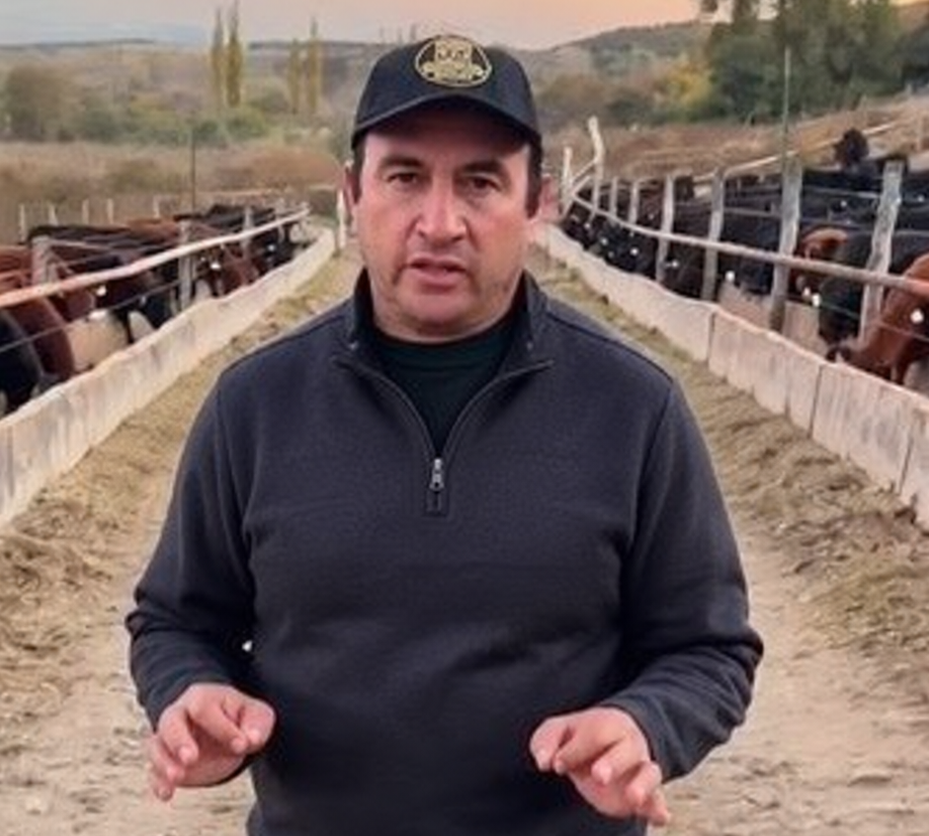 De 350 mil vacas inseminadas a un feedlot en expansión: la apuesta de Huguenine por una ganadería más eficiente