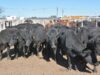 CRA denuncia descuentos en la hacienda y apunta a los frigoríficos exportadores