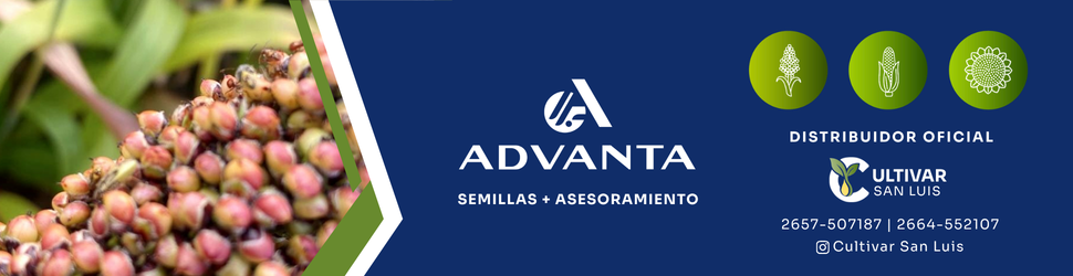 Cultivar San Luis - Distribuidor oficial Advanta
