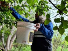San Luis refuerza el combate contra la mosca de los frutos en cinco localidades