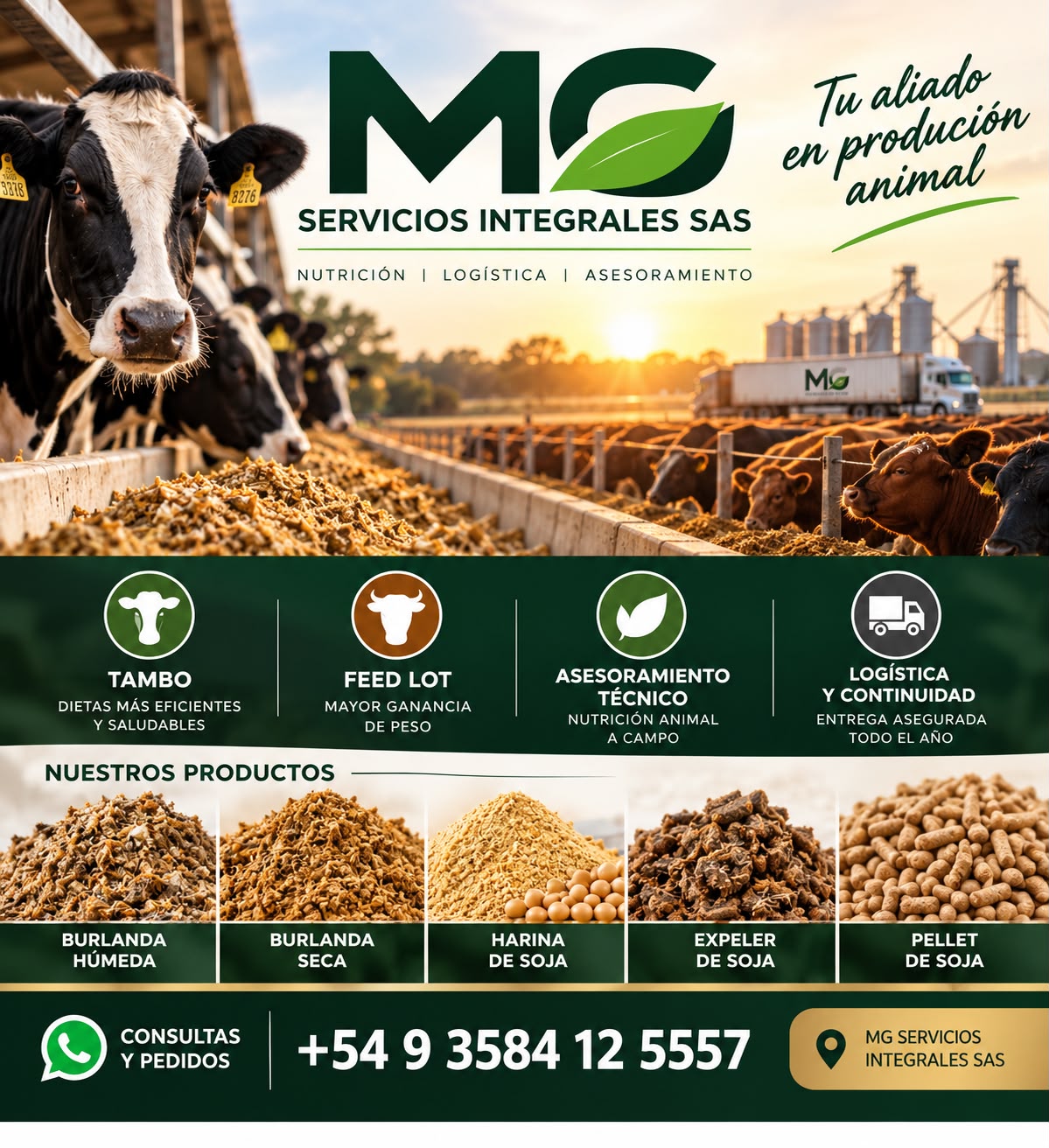MG Servicios Integrales